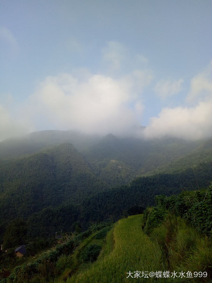 老家。
出门是山，屋后是山。_景色