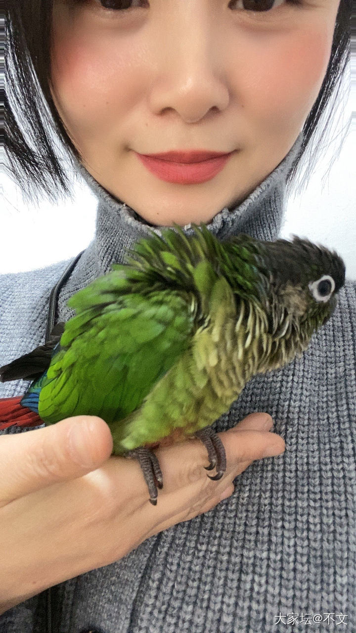 宋徽宗牡丹帖 赞颂牡丹花 现藏于北京故宫博物院 
此作华丽富贵 疏密自然 用笔洒...