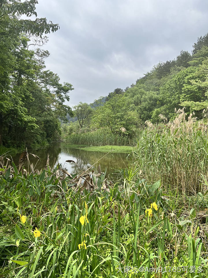 五一贵阳游记_旅游