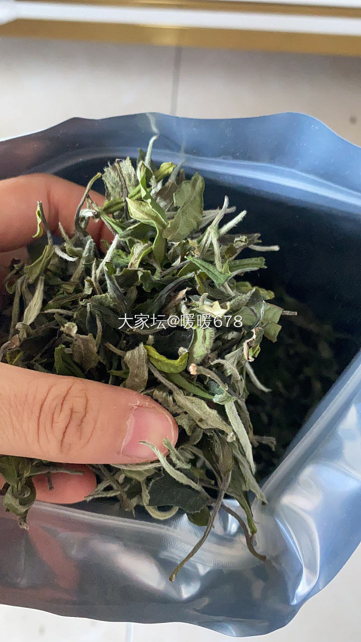 春茶白牡丹金牡丹_茶叶