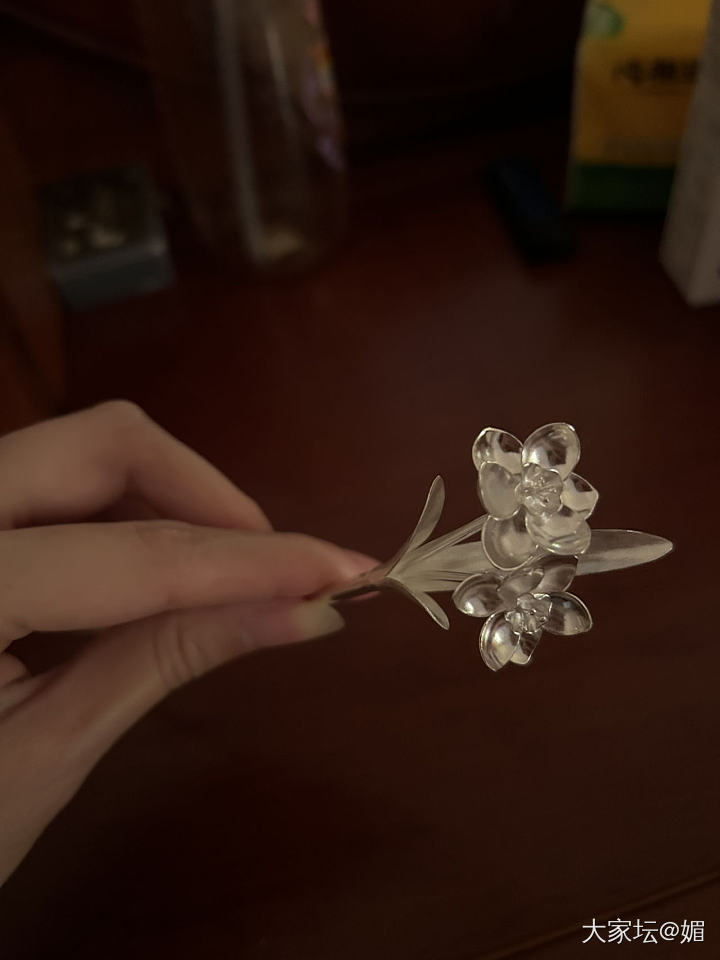 百看不厌的发簪_簪子银