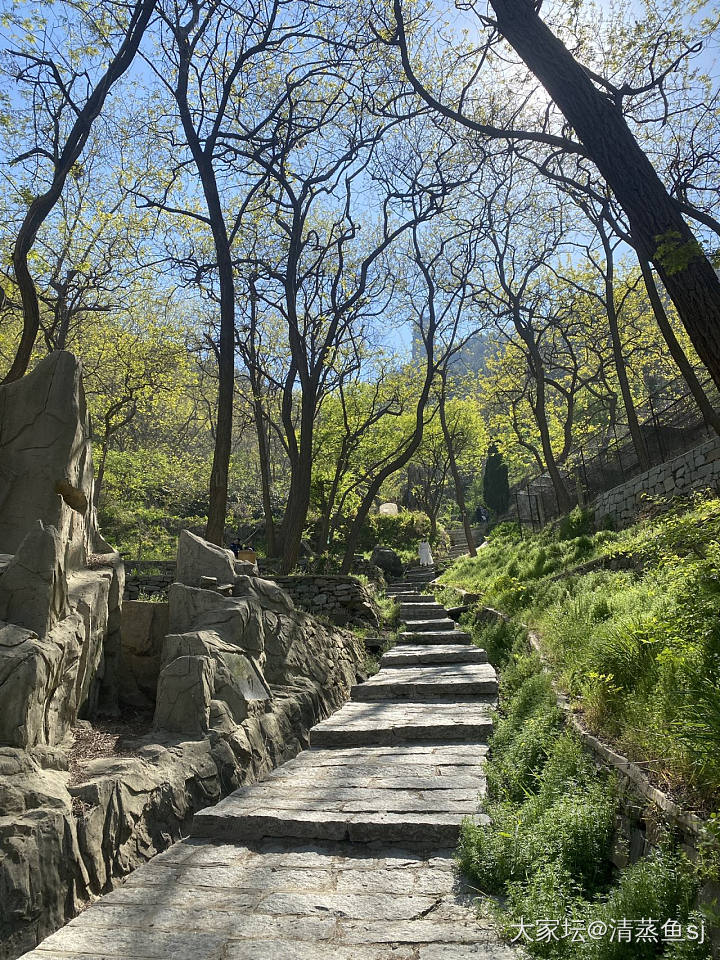 昨天的烟台_景色旅游