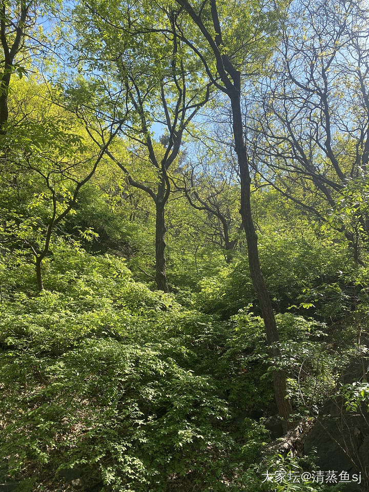 昨天的烟台_景色旅游