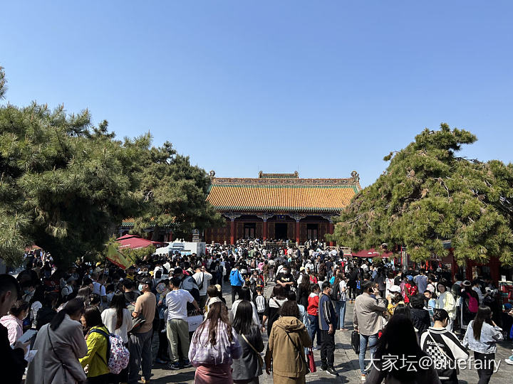 今天沈阳故宫人从众_旅游