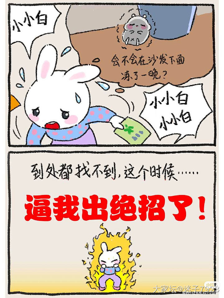 原创漫画又来啦！~鼠鼠越狱出逃记~祝大家五一快乐！
记录我家仓鼠小小白的一次出逃..._宠物故事闲聊