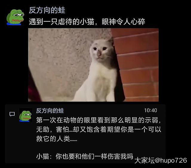 这图看了让人心酸！_猫