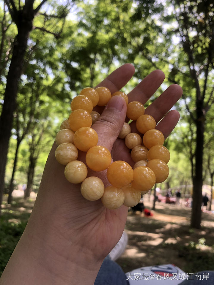 阶段性出坑_琥珀蜜蜡