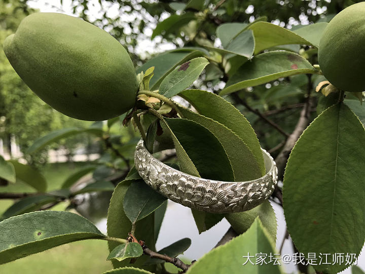 紫玥轩艳冠群芳_银