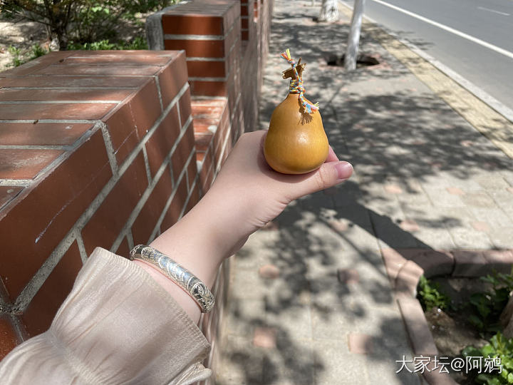 今天是耄耋和小葫芦_葫芦银
