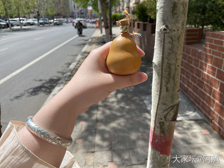 今天是耄耋和小葫芦_葫芦银