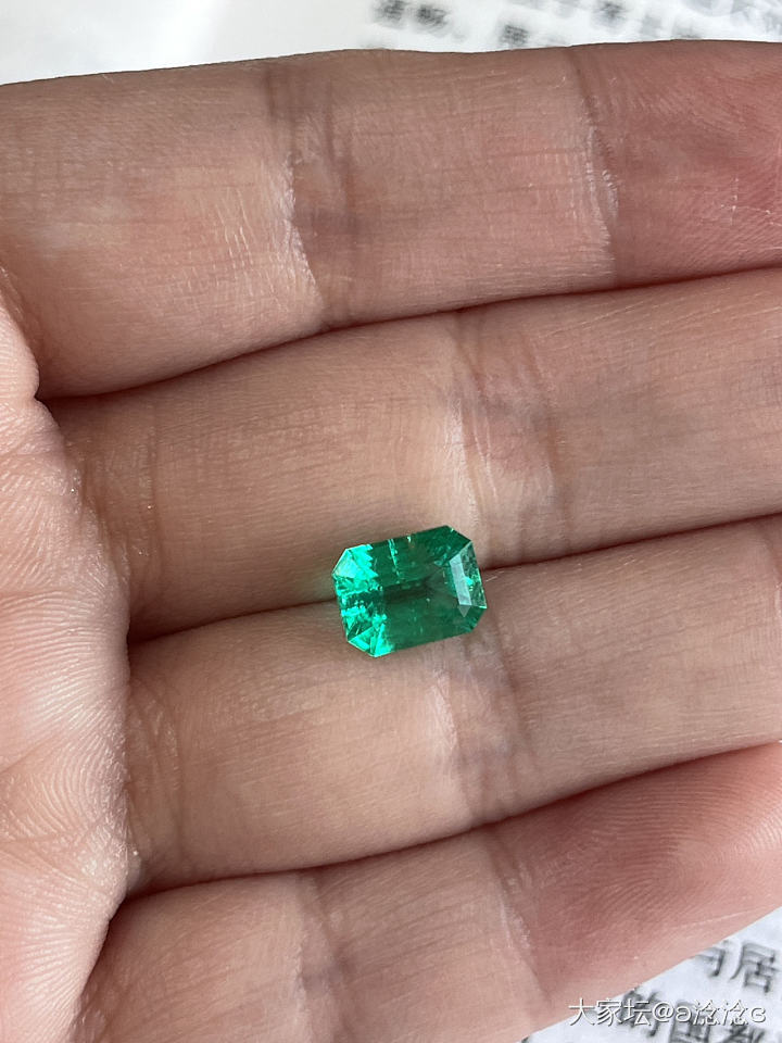 培育祖母绿能留吗？有很多针状物_祖母绿