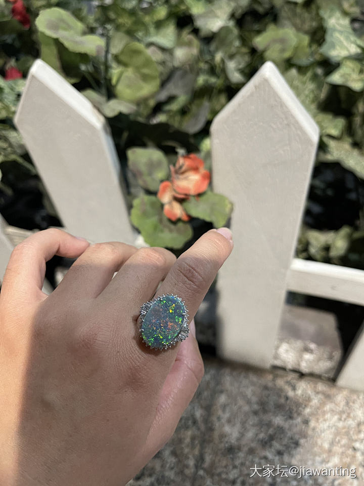请问哪位有澳洲欧泊，准备入手_欧泊