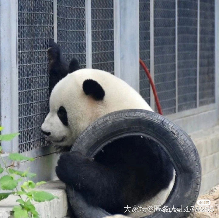 水贝真会整活啊_金