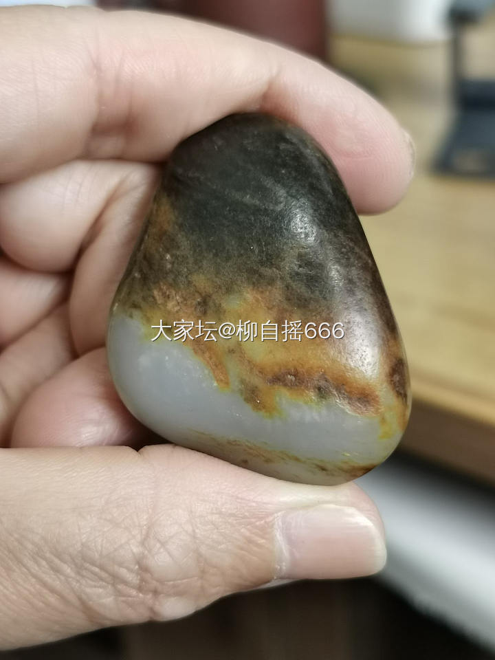 “鱼缸籽”来也…_和田玉