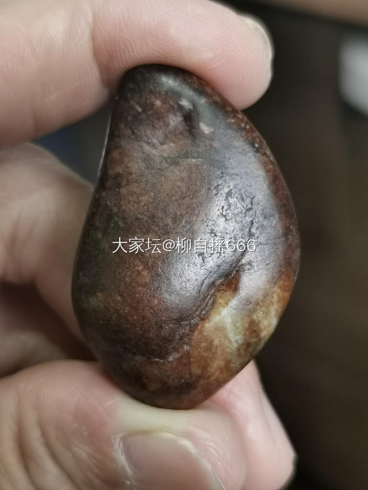 “鱼缸籽”来也…_和田玉