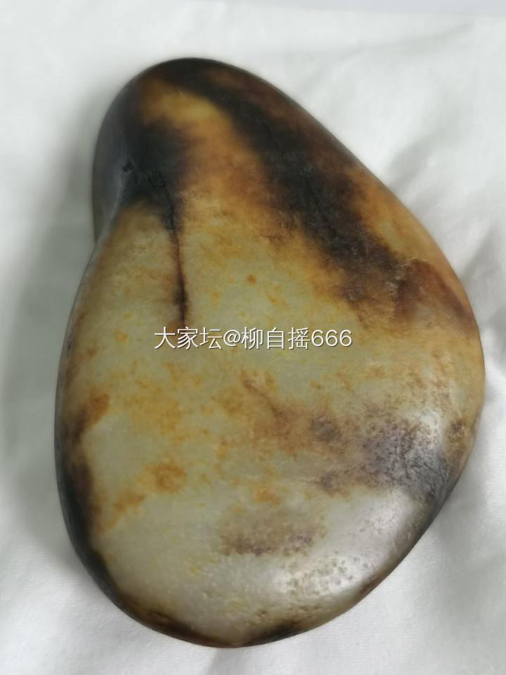 “鱼缸籽”来也…_和田玉
