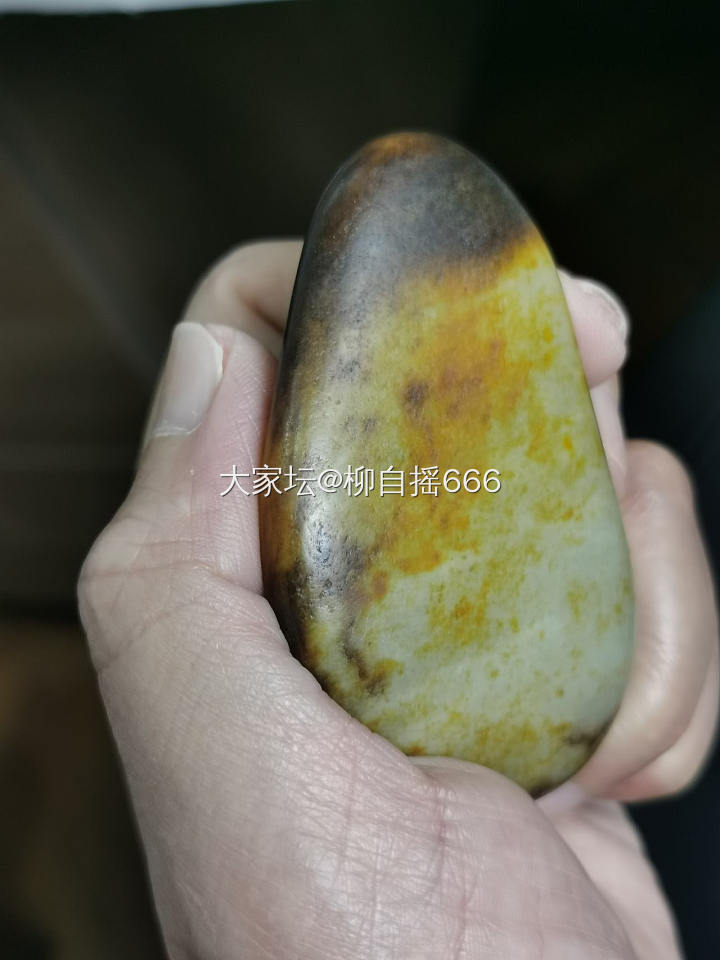 “鱼缸籽”来也…_和田玉