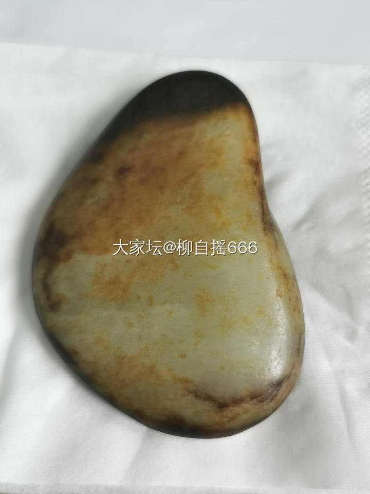“鱼缸籽”来也…_和田玉