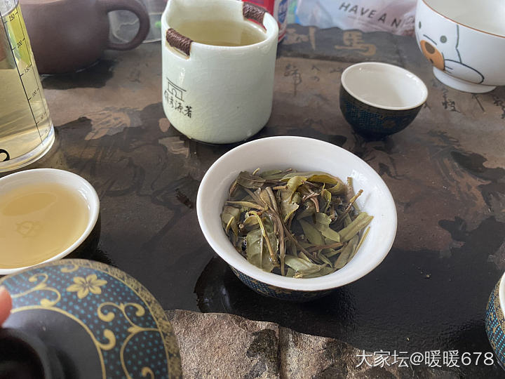喝茶咯，老家春茶白牡丹。_茶道