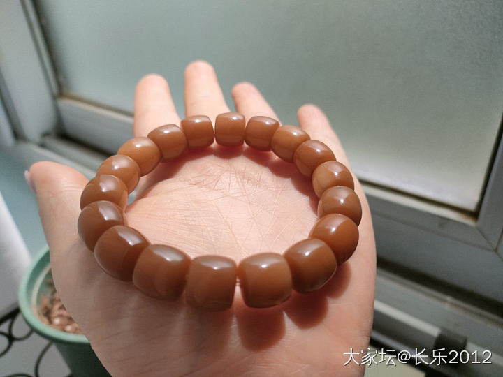 当钱包👛瘪了可以玩啥？_菩提子