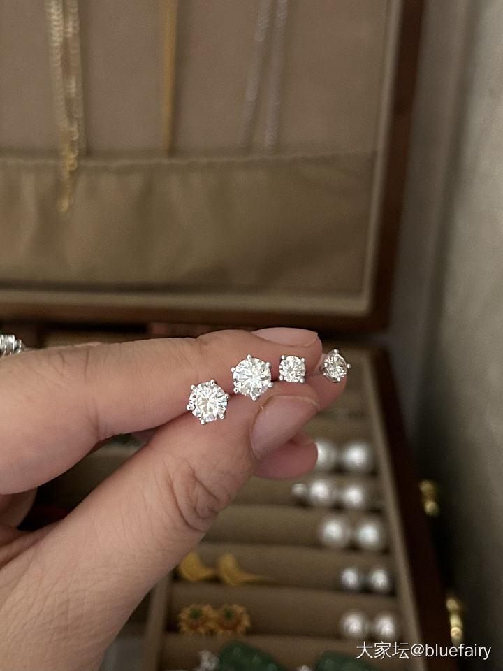 培育钻耳钉到了_培育钻
