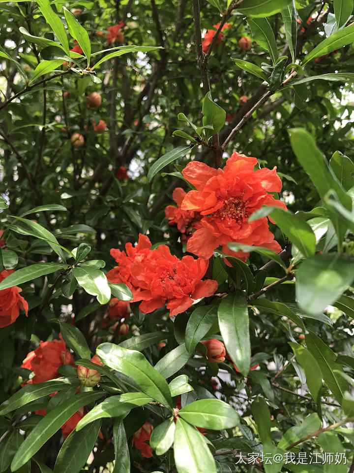 夏天，夏天_银