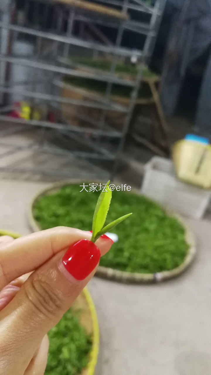 坛友帮我看看这个庐山云雾茶怎么样？_茶叶