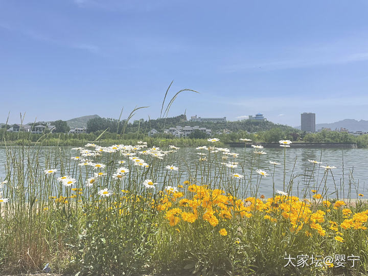 若无闲事挂心头，便是人间好时节_景色