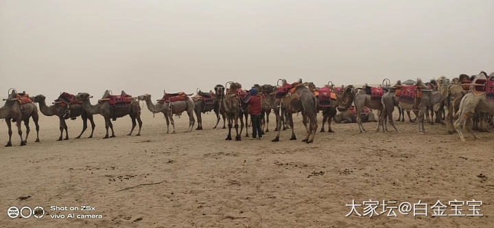 我妈又发来了新行程_旅游