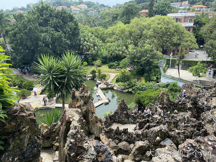 鼓浪屿还是值得来的_旅游