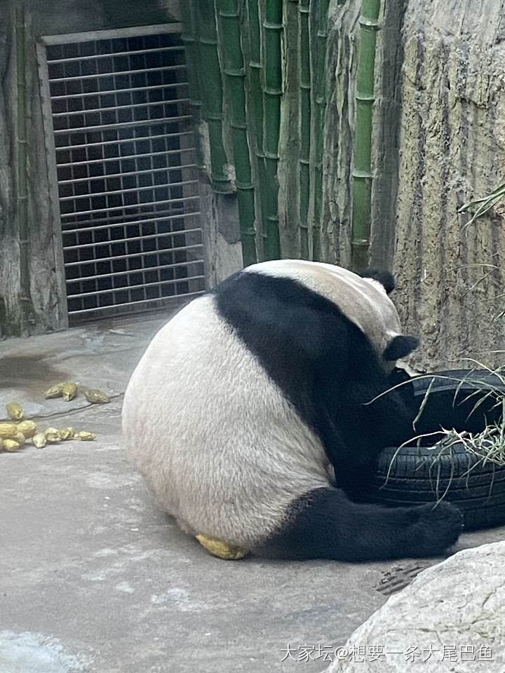 天气热的还是家里呆吧_旅游