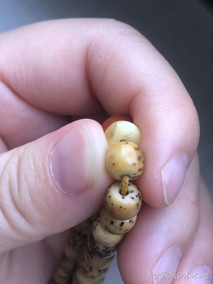好久没秀我的星月了☪️，帮我看看是不是开片了_菩提子