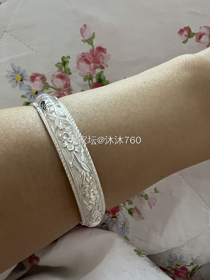刚刚入银坑 定了两只 今天到了一只 还挺好看的！_银