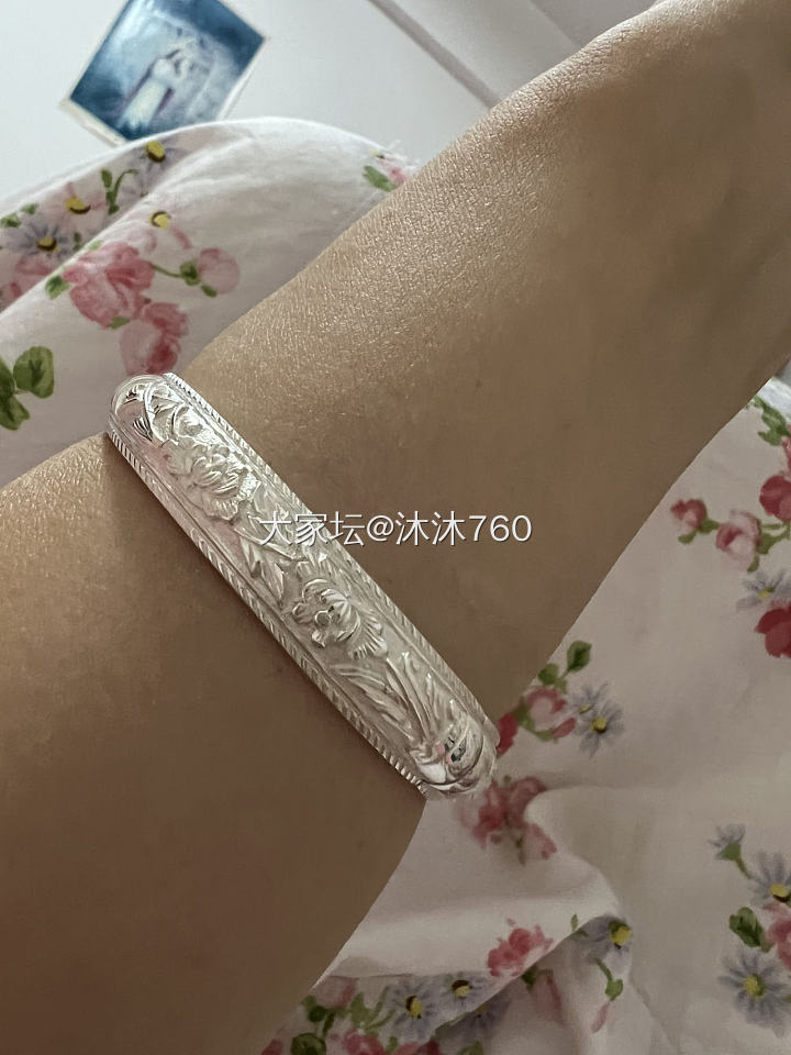 刚刚入银坑 定了两只 今天到了一只 还挺好看的！_银