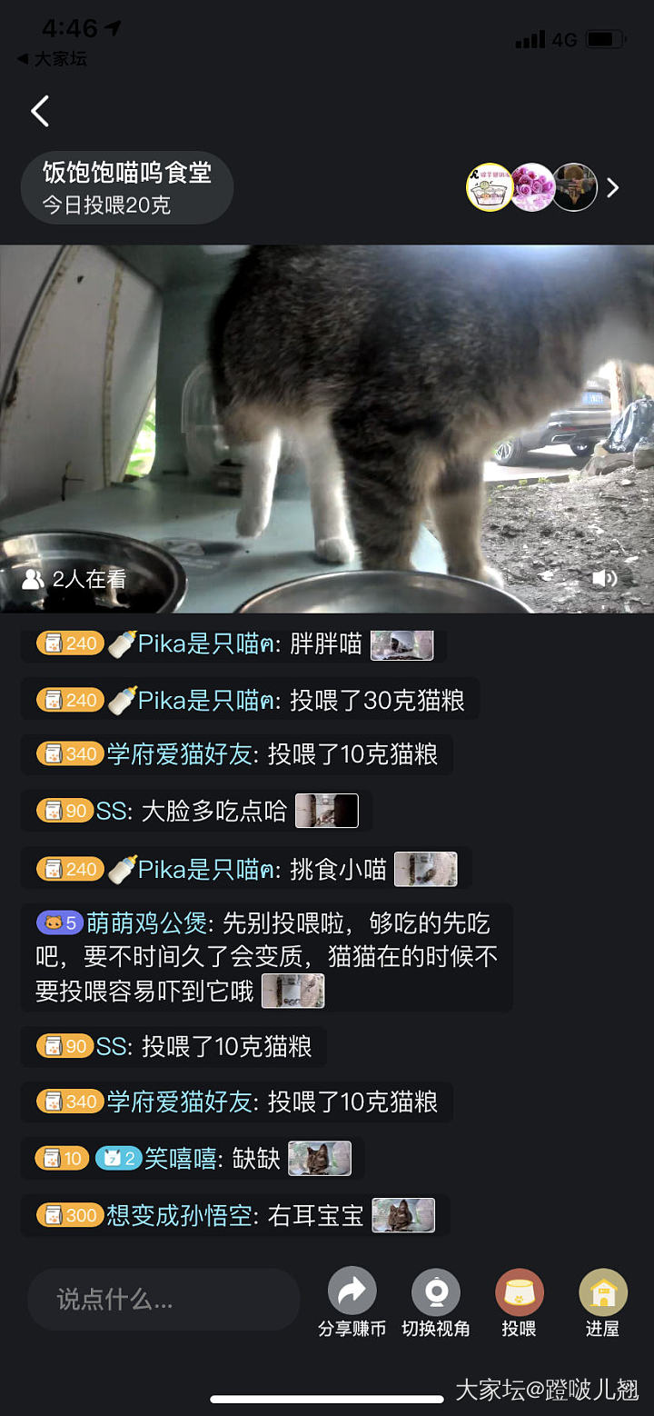 街猫app在线吃播_猫