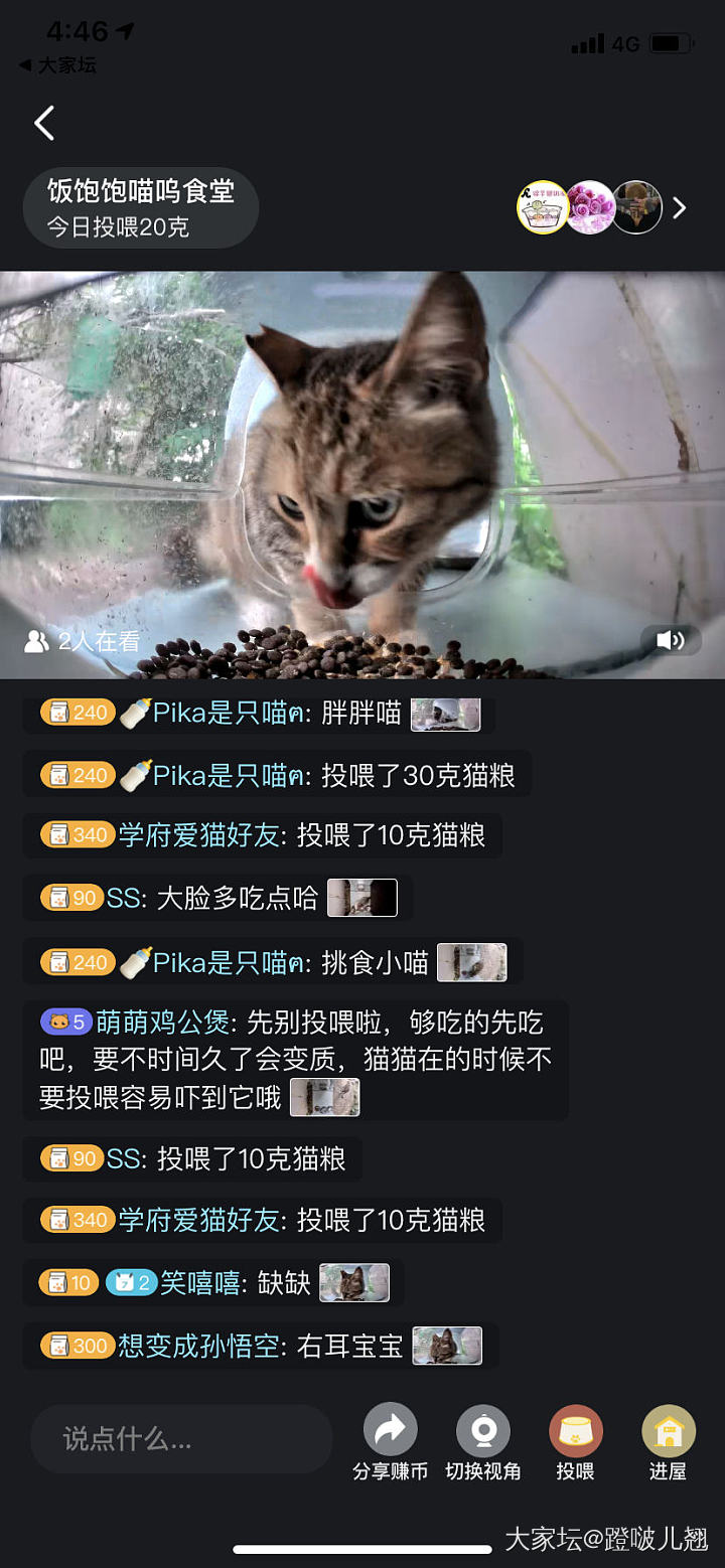 街猫app在线吃播_猫