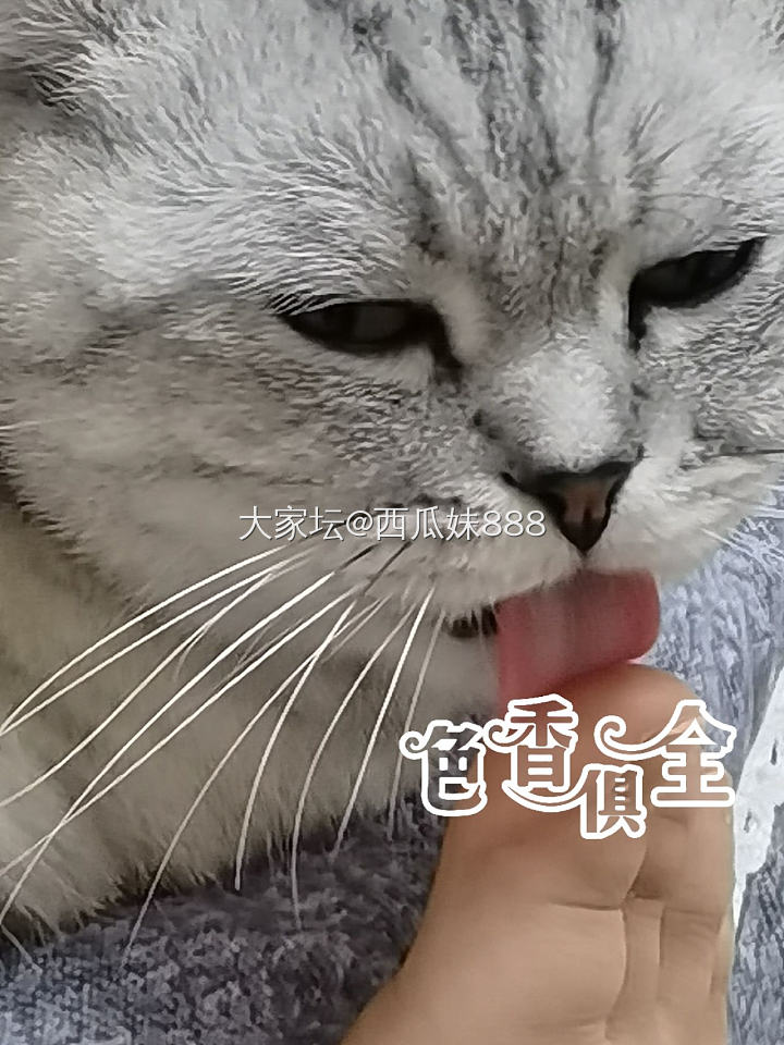 又学会一个新技能_水晶