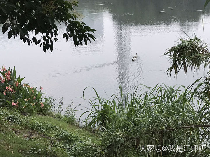 你们眼中的“烟雨江南”，就是我们的“黄梅天”。_景色