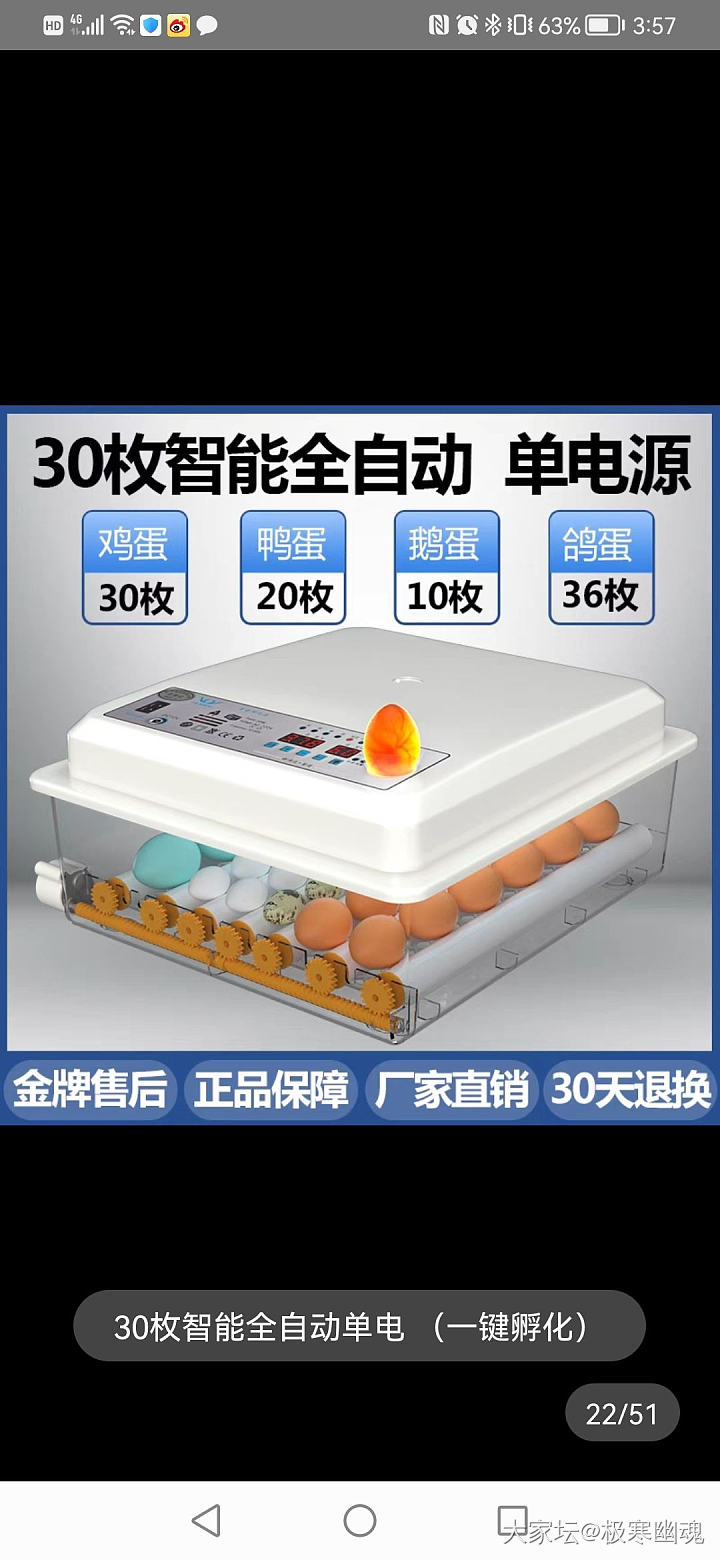 万能的坛友，求推荐芦丁鸡种蛋？_鸡