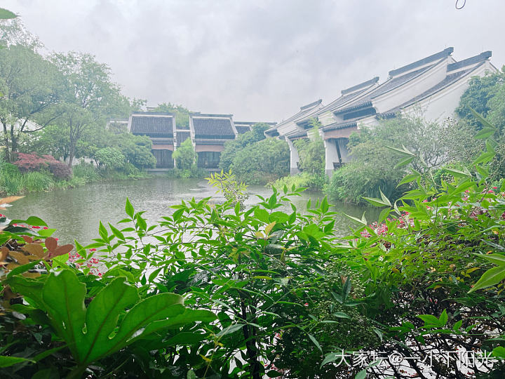 最惬意的莫过于娃在培训班上课，我和闺蜜在小聚😄_旅游生活