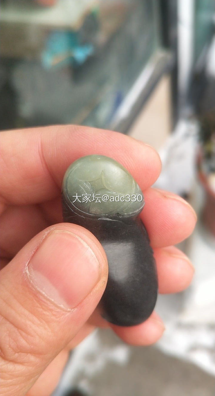 广西墨玉能出ngtc证书吗_和田玉