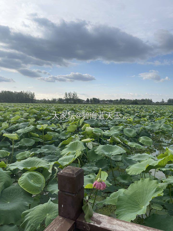 夏日限定_景色