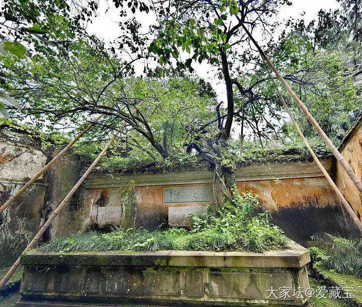 拜访天台宗隋代古刹国清寺_旅游