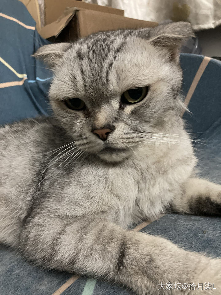 我的订单儿_匠人