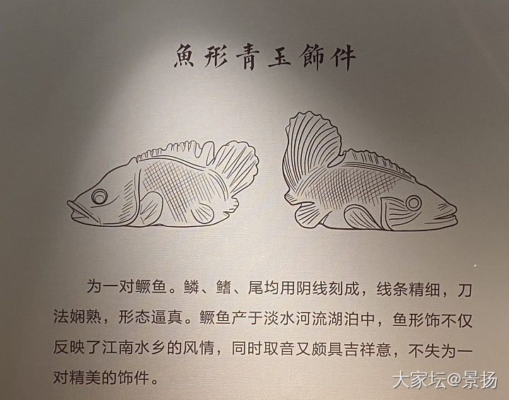 带娃放电_金玉石博物馆