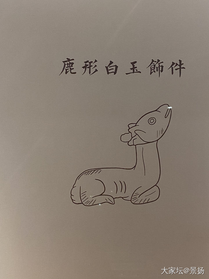 带娃放电_金玉石博物馆