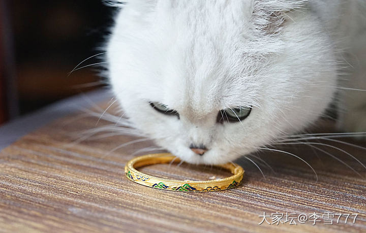 千里江山_福利社金