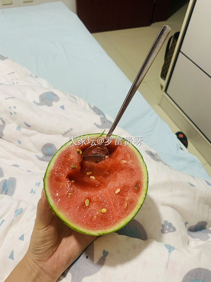 惬意的生活_美食