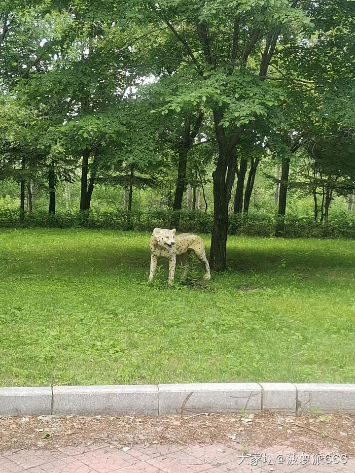 打卡本地的国家矿山公园_旅游