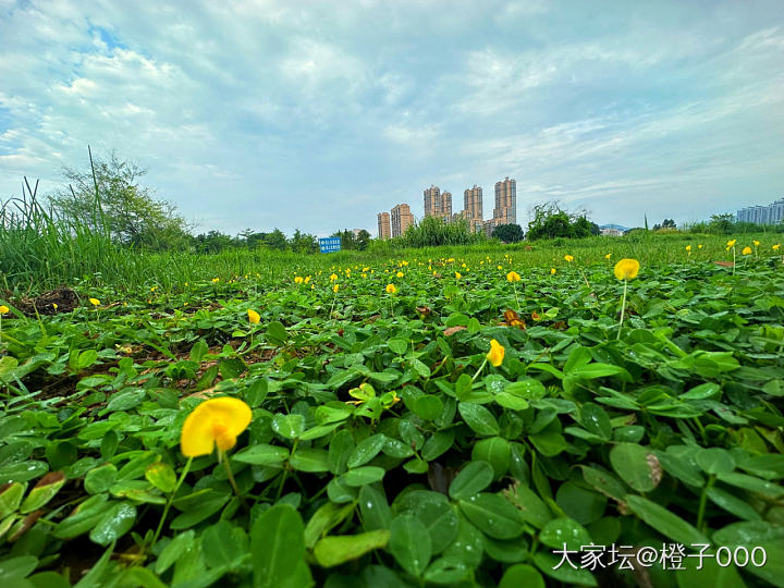 Morning 🥳_福建闲聊